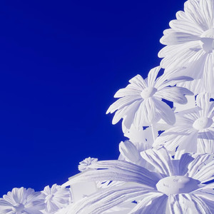 金谷うの在线人妻magnet
